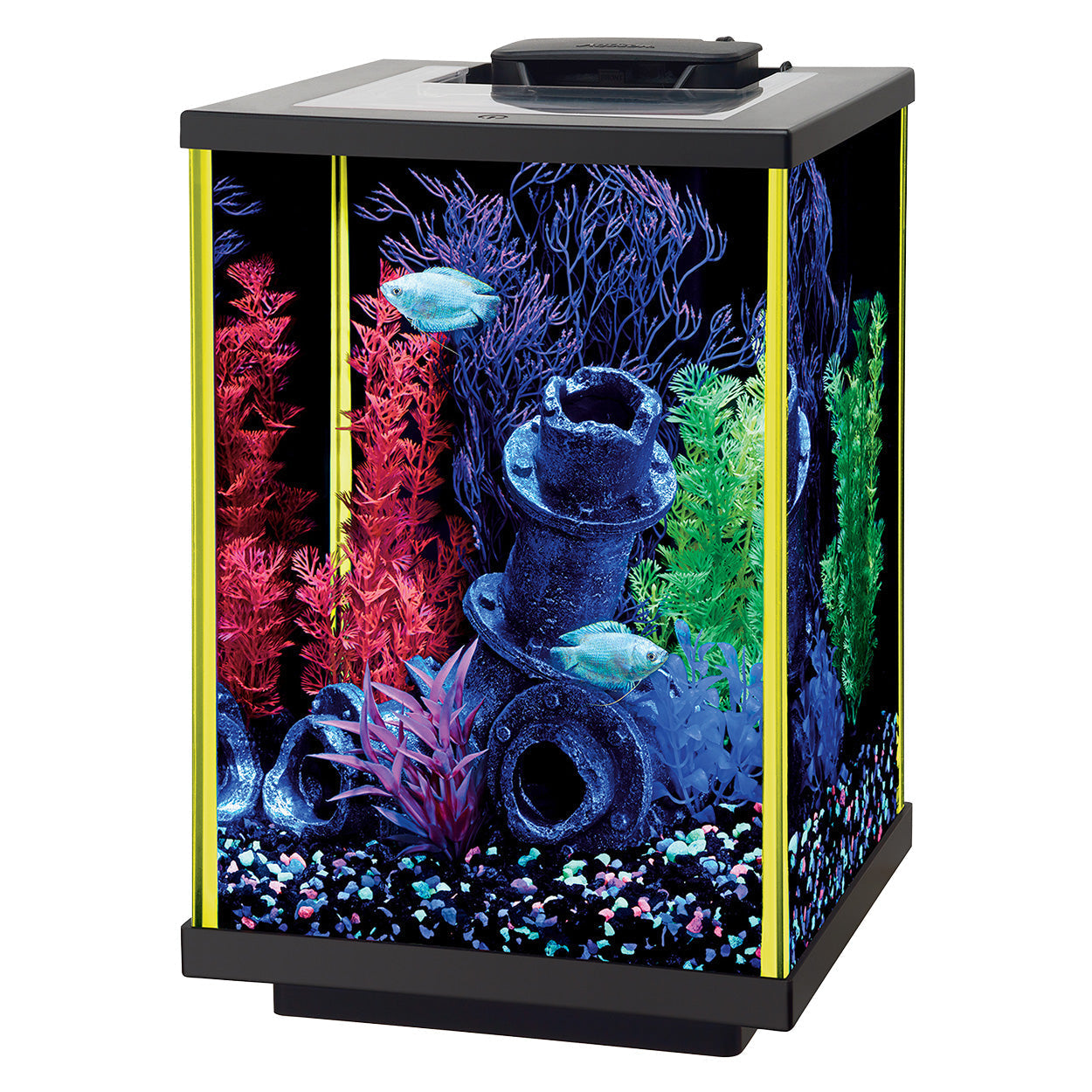 Aqueon NeoGlow LED Aquarium Kit - Column - Lime Green - 5 gal