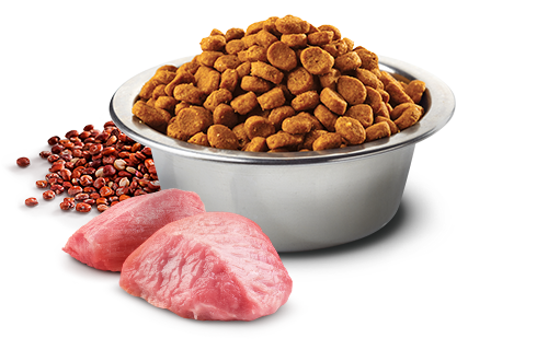 Farmina N&D Cat Quinoa Weight Management Lamb