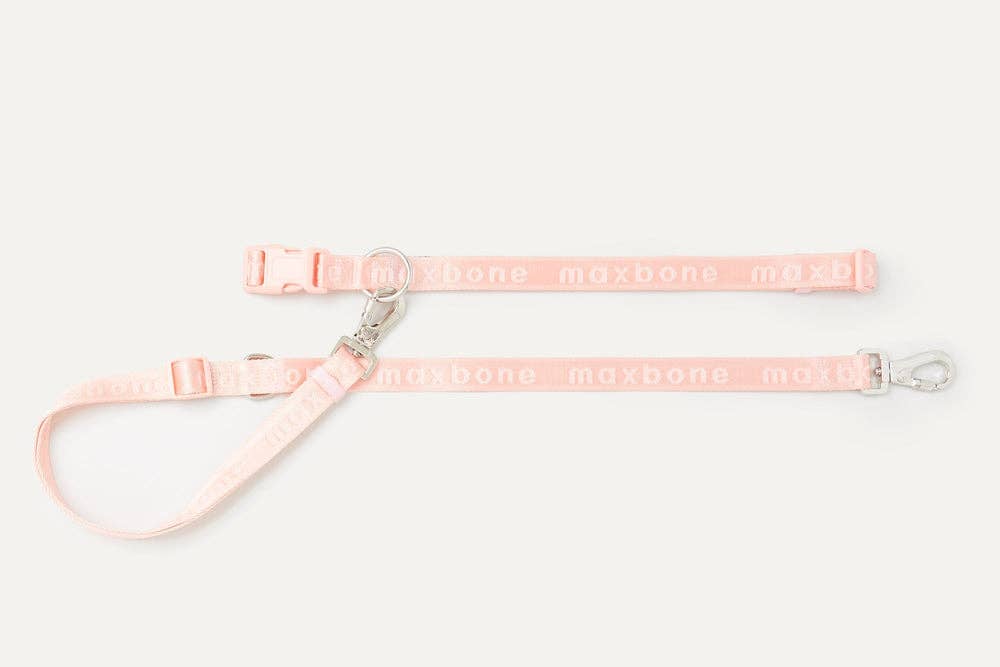 Go With Ease! Hands Free Leash
