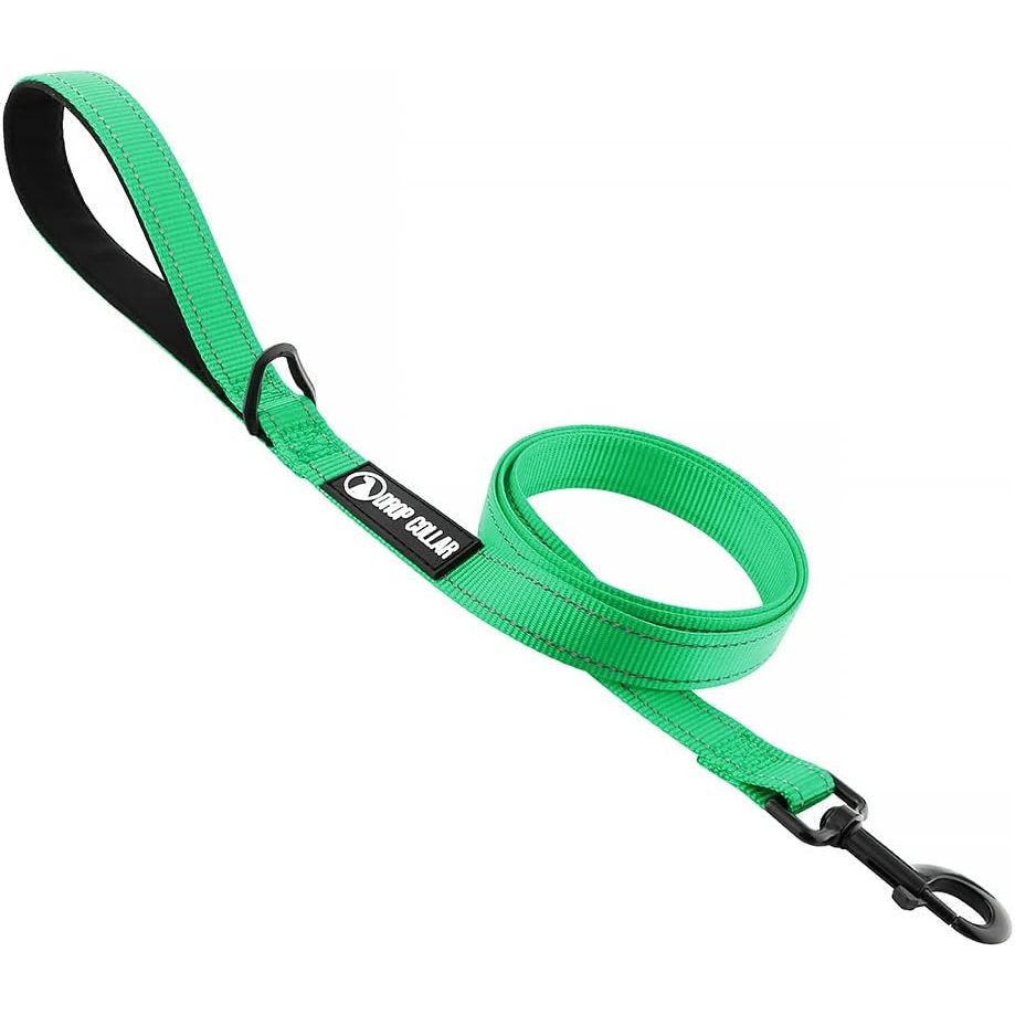 Drop Collar Reflective Nylon Leash with Sleek D-Ring for Accessories & Soft Padded Gel Handle for Comfort (Long)