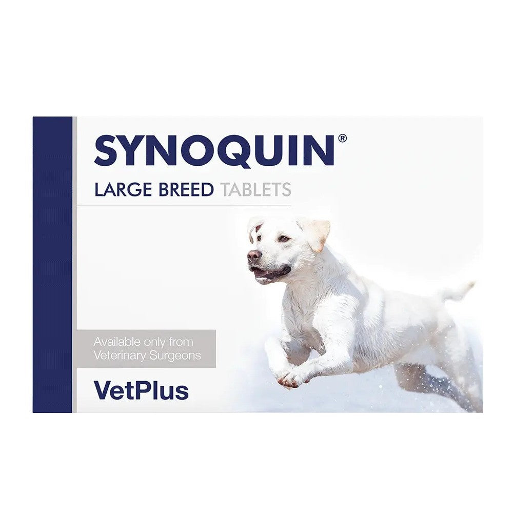 Synoquin for Dogs