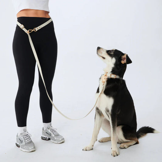 Furei Pets Waterproof Adjustable Leash - Bone