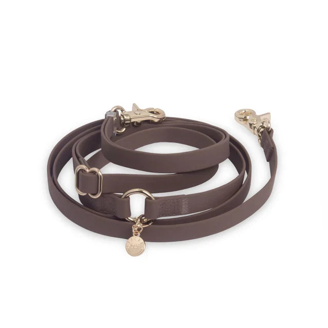 Sunny Tails 4-in-1 Hands Free Leash - Espresso