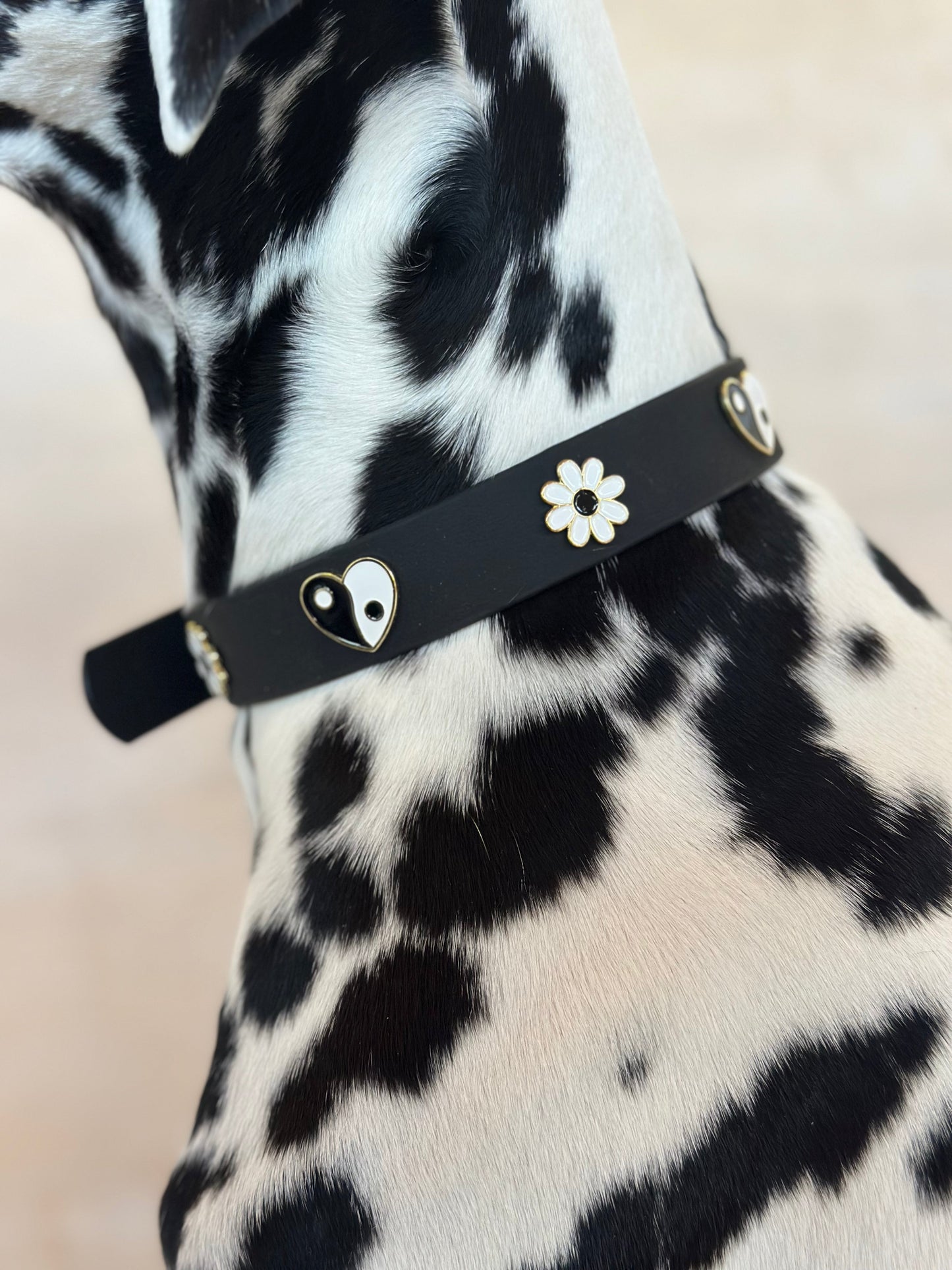 Furei Pets Waterproof Charm Collar - Ying Yang