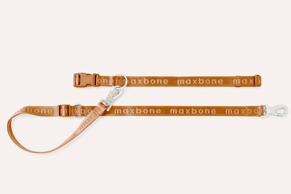 Go With Ease! Hands Free Leash