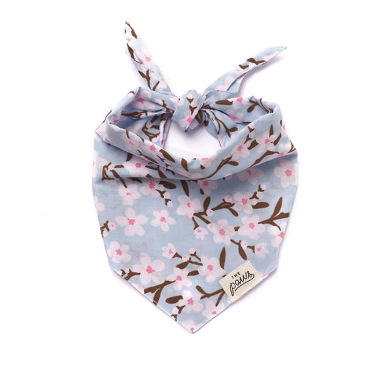 The Paws Bandana - Cherry Blossom