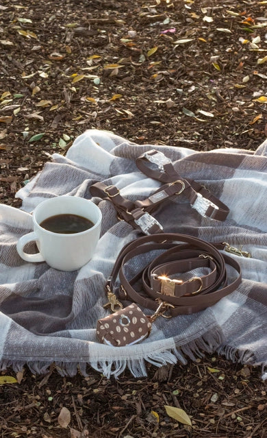 Sunny Tails 4-in-1 Hands Free Leash - Espresso