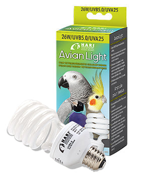 Hari Avian Light Bulb
