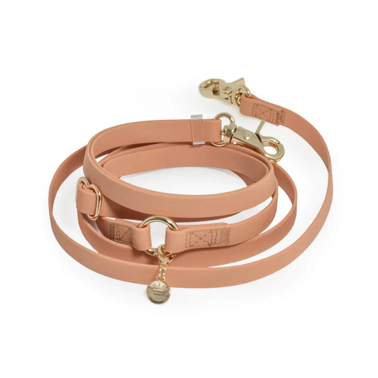 Sunny Tails 4-in-1 Hands Free Leash - Chai