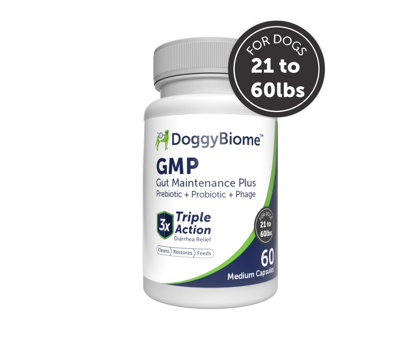 Gut Maintenance Plus