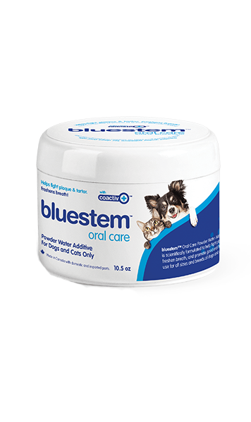 Bluestem - Original Water Additive Powder 300g