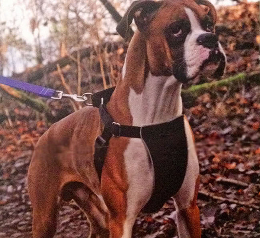 Canine Equipment: No-Pull Harness