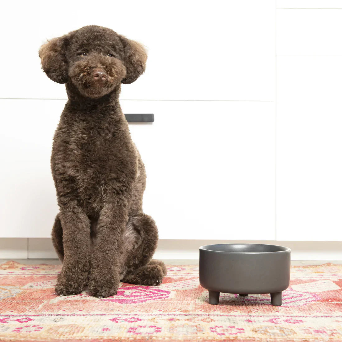Waggo Uplift Bowl