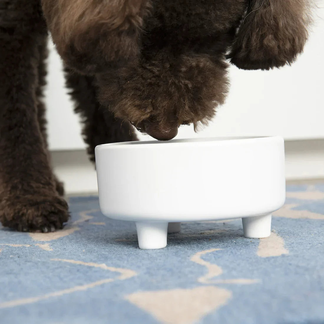 Waggo Uplift Bowl
