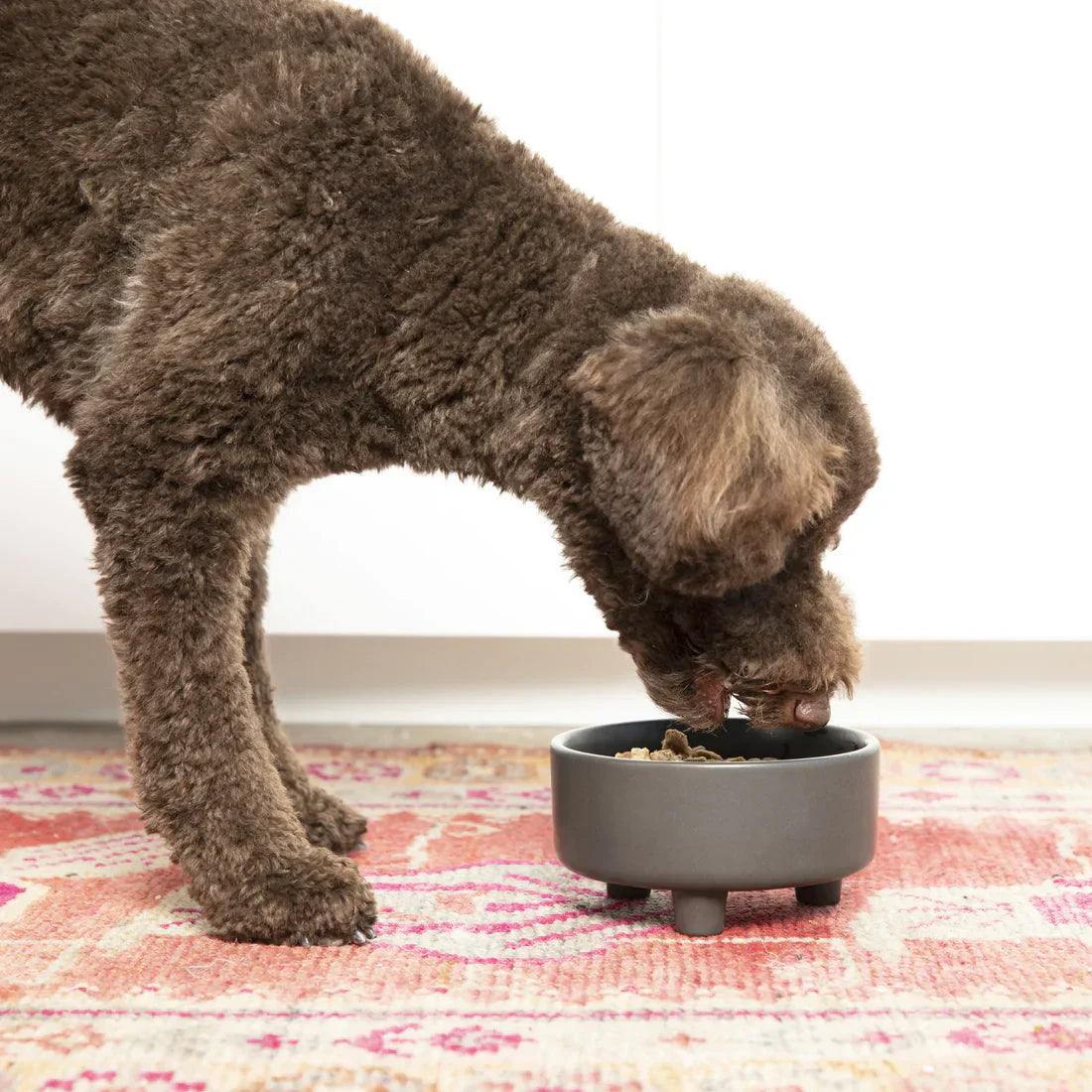Waggo Uplift Bowl