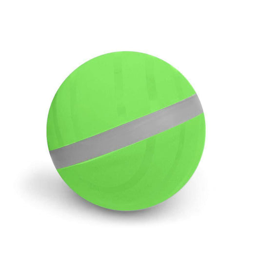 Pet Motion Ball