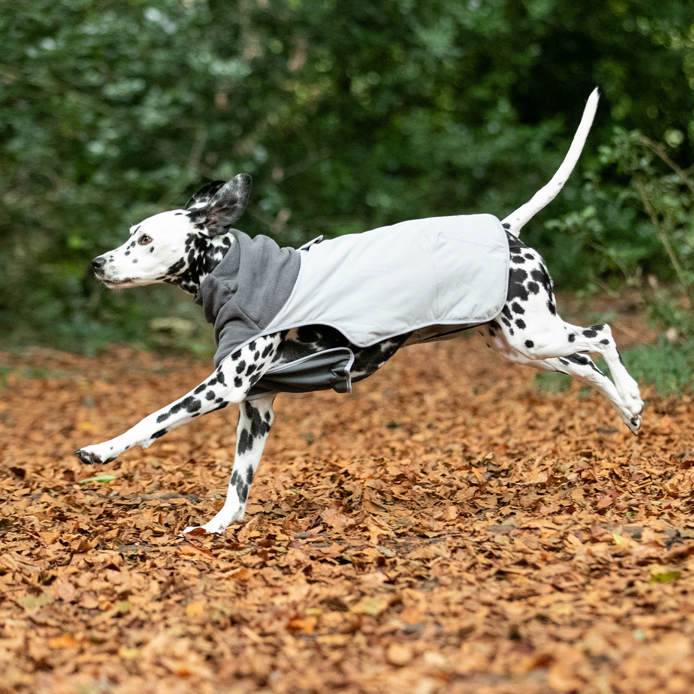 Hugo & Hudson Thermal Self Heating Dog Jacket