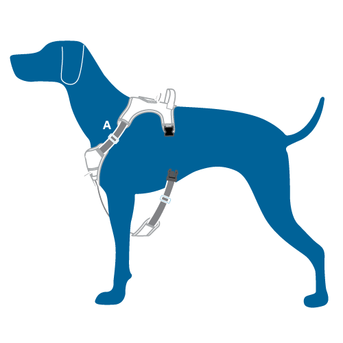 RC Pets Momentum Control Harness for Dogs in Azalea